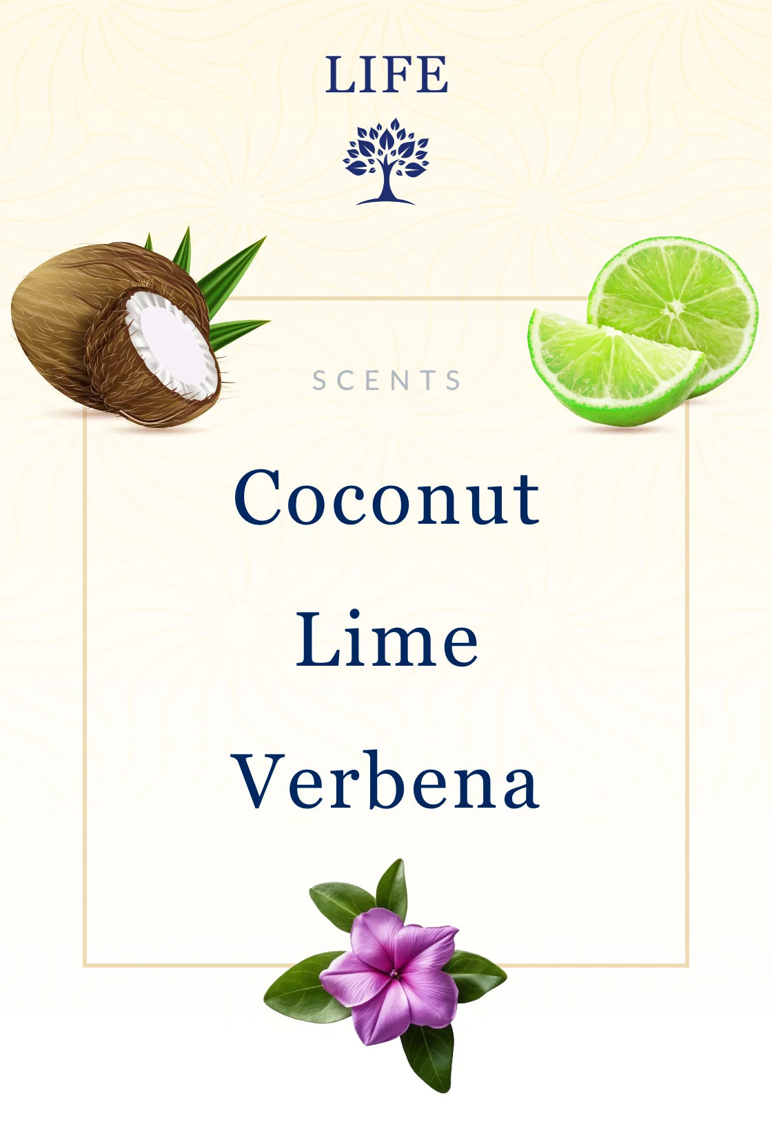 Life Christian Candle - Coconut Lime Verbena | Bible Candles Co.
