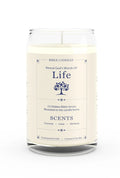 Life Christian Candle - Coconut Lime Verbena | Bible Candles Co.