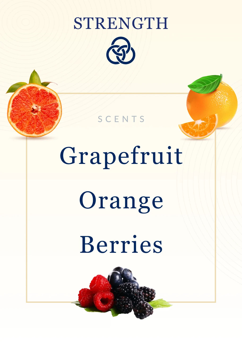 Strength Scripture Candle - Citrus & Berry Scent | Bible Candles Co.